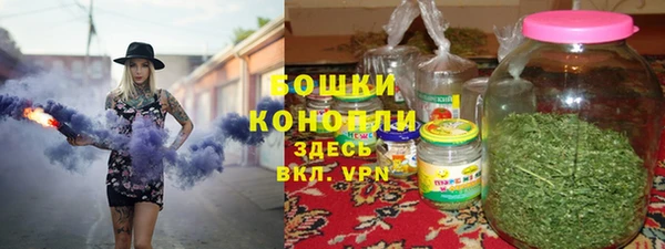 сатива Нязепетровск